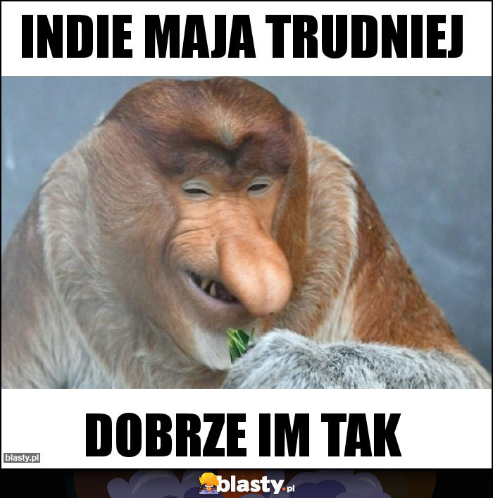 INDIE MAJA TRUDNIEJ INDIE MAJA TRUDNIEJ