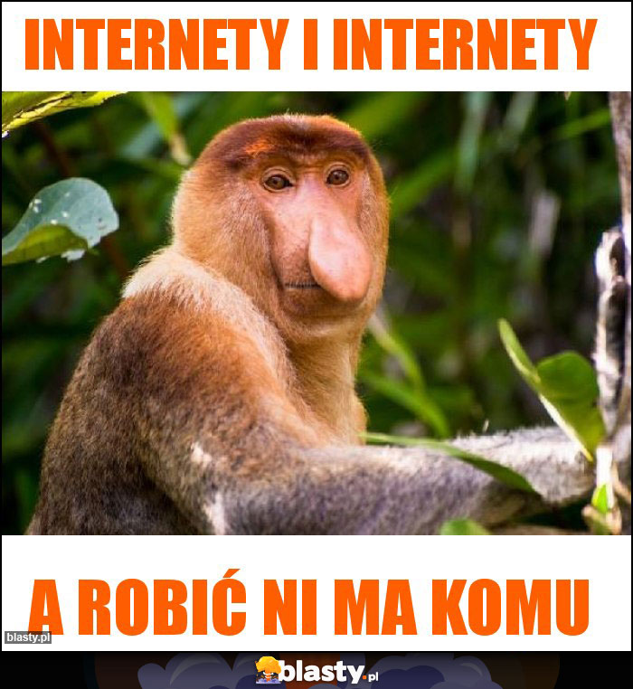 internety i internety internety i internety
