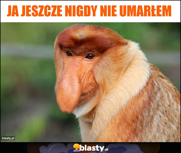 Ja jeszcze nigdy nie umarłem Ja jeszcze nigdy nie umarłem