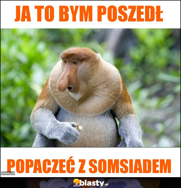 JA TO BYM POSZEDŁ JA TO BYM POSZEDŁ