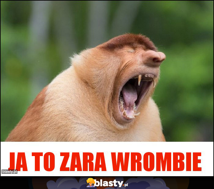Ja to zara wrombie