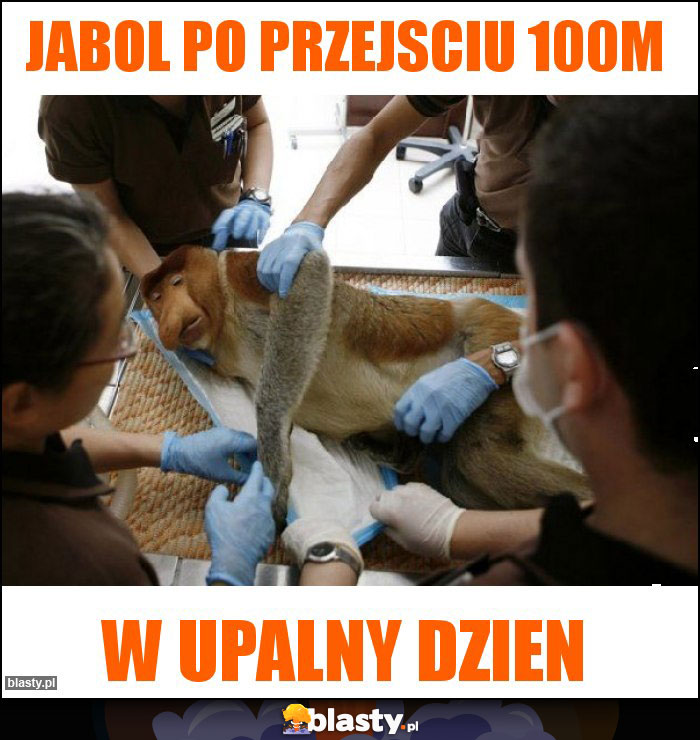 Jabol po przejsciu 100m