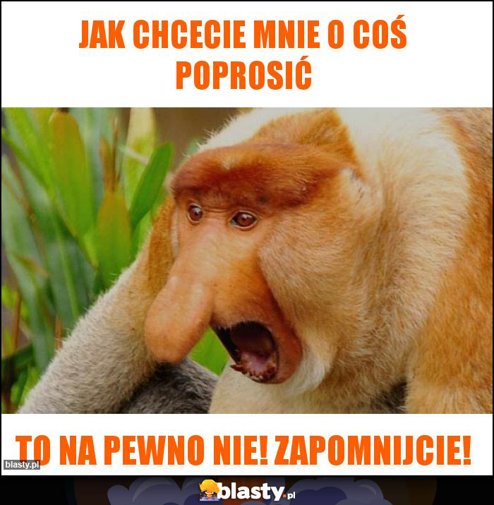 Jak chcecie mnie o coś poprosić Jak chcecie mnie o coś poprosić