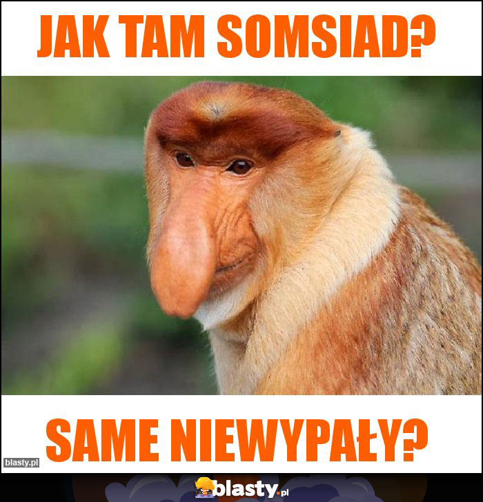 JAK TAM somsiad? JAK TAM somsiad?