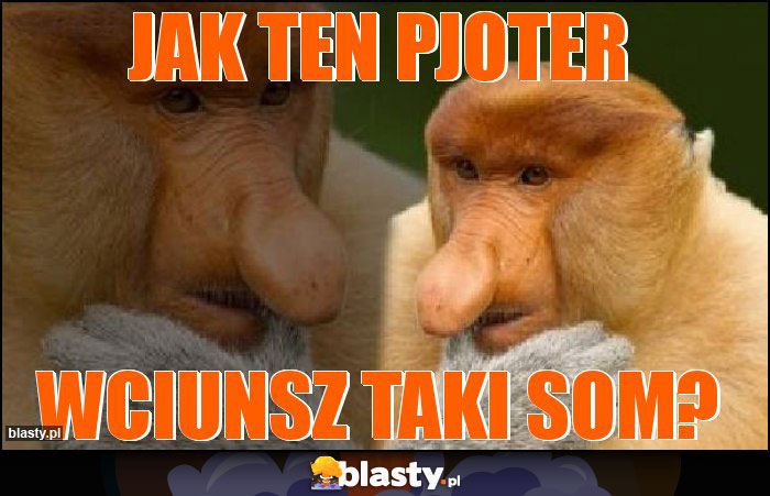 jak ten pjoter jak ten pjoter