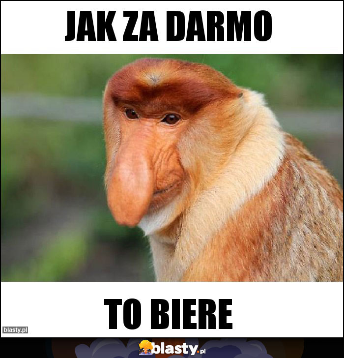 JAK ZA DARMO JAK ZA DARMO