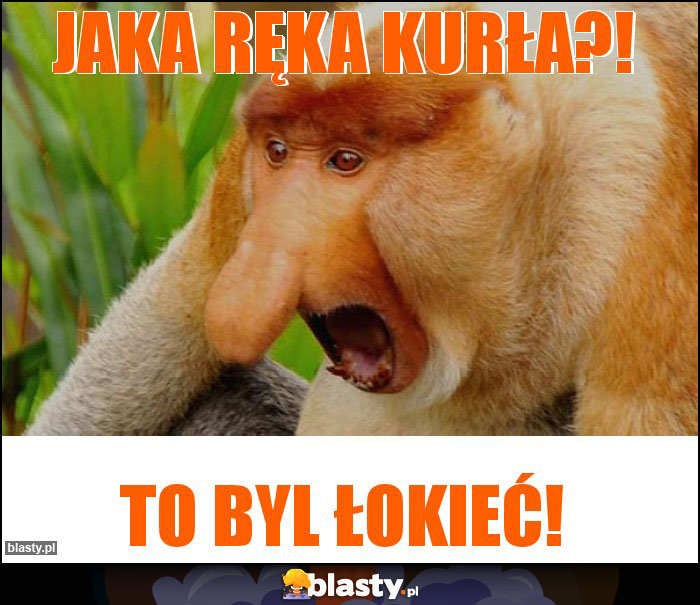 Jaka ręka kurła?! Jaka ręka kurła?!