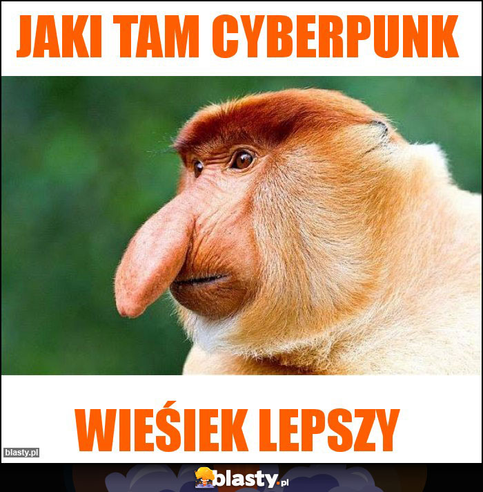 jaki tam cyberpunk