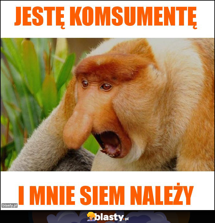 Jestę komsumentę