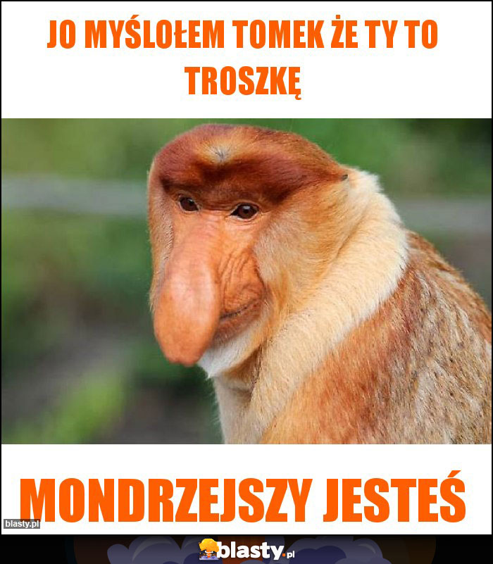 Jo myślołem tomek że ty to troszkę Jo myślołem tomek że ty to troszkę
