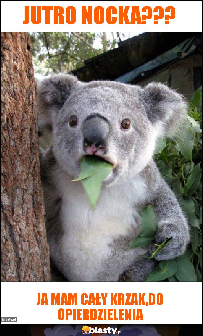 jutro nocka??? jutro nocka???