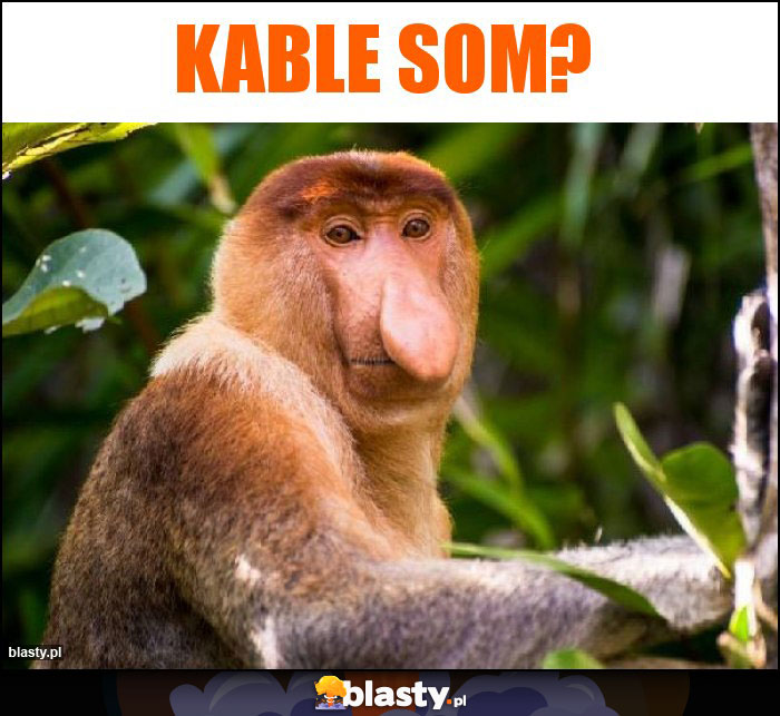Kable som? Kable som?