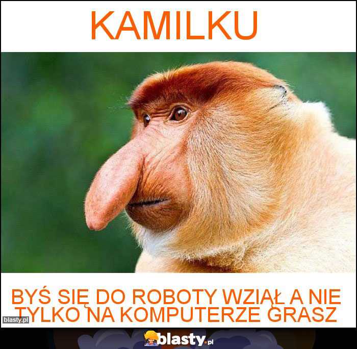 Kamilku