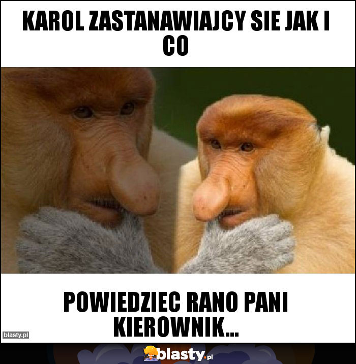 Karol zastanawiajcy sie jak i co Karol zastanawiajcy sie jak i co
