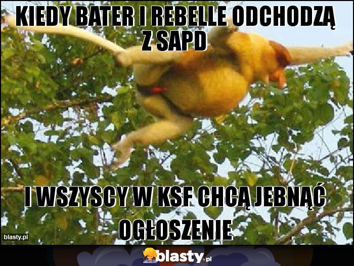 Kiedy bater i ReBelle odchodzą z SAPD Kiedy bater i ReBelle odchodzą z SAPD