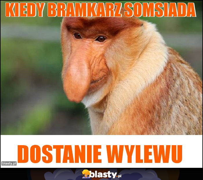 Kiedy bramkarz somsiada Kiedy bramkarz somsiada