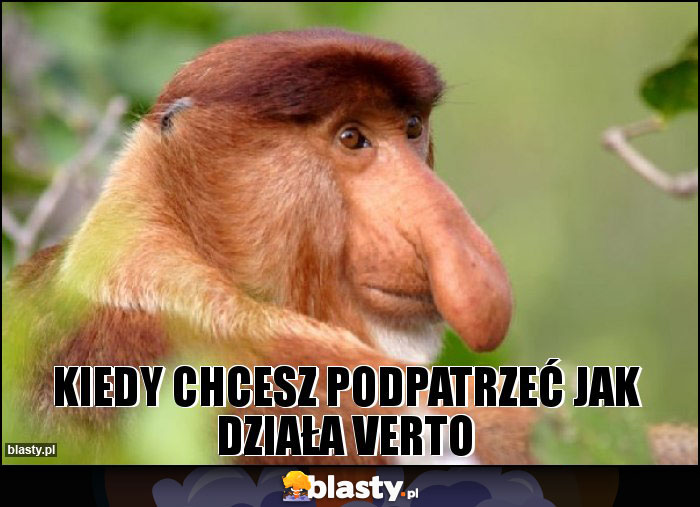 Kiedy chcesz podpatrzeć jak działa Verto Kiedy chcesz podpatrzeć jak działa Verto