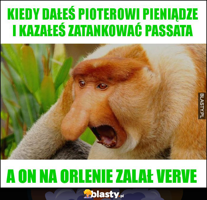 Kiedy dałeś Pioterowi pieniądze i kazałeś zatankować passata Kiedy dałeś Pioterowi pieniądze i kazałeś zatankować passata