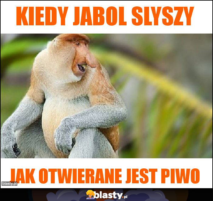 kiedy jabol slyszy kiedy jabol slyszy