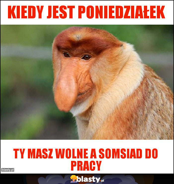 Kiedy jest poniedziałek Kiedy jest poniedziałek
