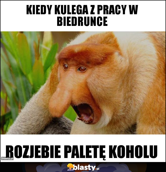 Kiedy kulega z pracy w biedrunce Kiedy kulega z pracy w biedrunce