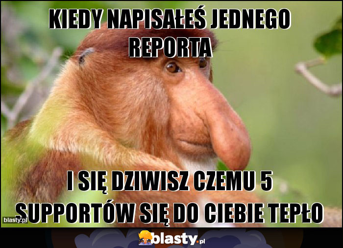 Kiedy napisałeś jednego reporta Kiedy napisałeś jednego reporta