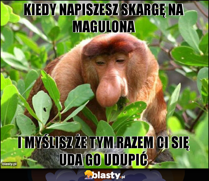 Kiedy napiszesz skargę na Magulona Kiedy napiszesz skargę na Magulona