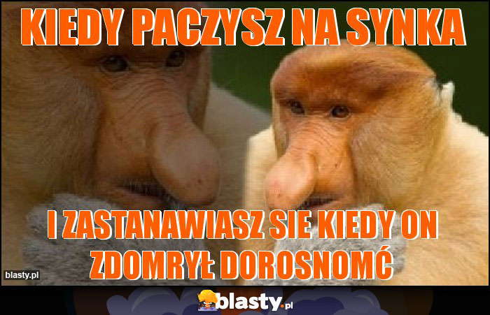 kiedy paczysz na synka kiedy paczysz na synka