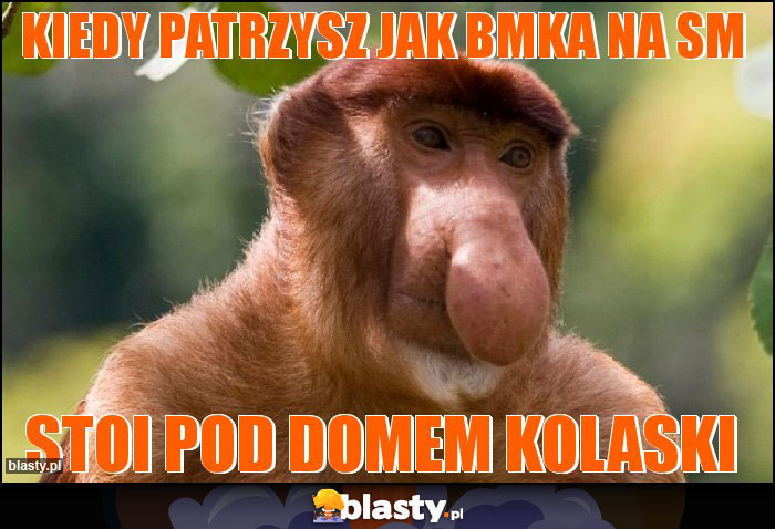 KIEDY PATRZYSZ JAK BMKA NA SM
