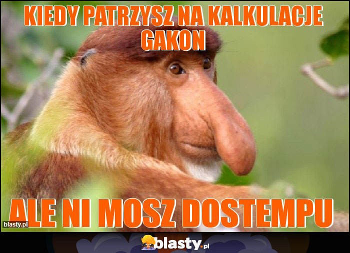 kiedy patrzysz na kalkulacje gakon kiedy patrzysz na kalkulacje gakon