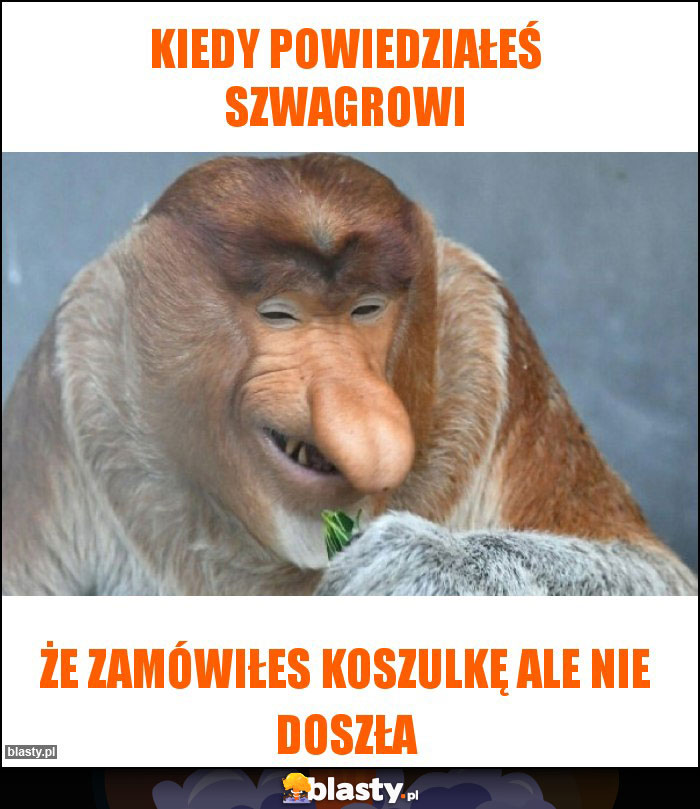 Kiedy powiedziałeś szwagrowi Kiedy powiedziałeś szwagrowi