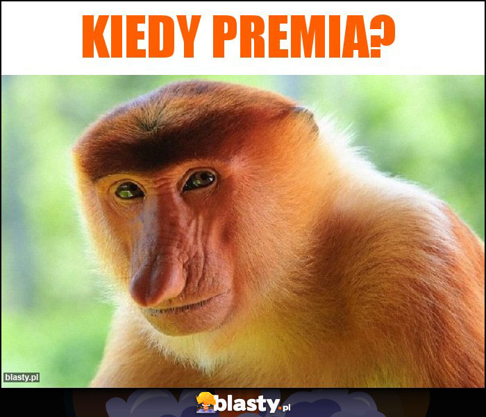 Kiedy premia?