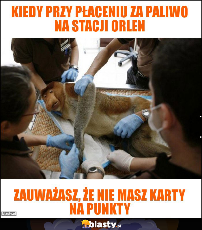 Kiedy przy płaceniu za paliwo na stacji orlen Kiedy przy płaceniu za paliwo na stacji orlen