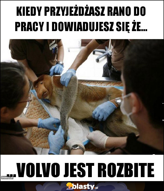 Kiedy przyjeżdżasz rano do pracy i dowiadujesz się że... Kiedy przyjeżdżasz rano do pracy i dowiadujesz się że...
