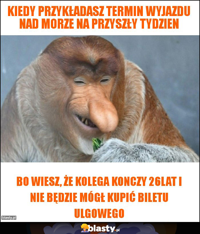 Kiedy przykładasz termin wyjazdu nad morze na przyszły tydzien Kiedy przykładasz termin wyjazdu nad morze na przyszły tydzien
