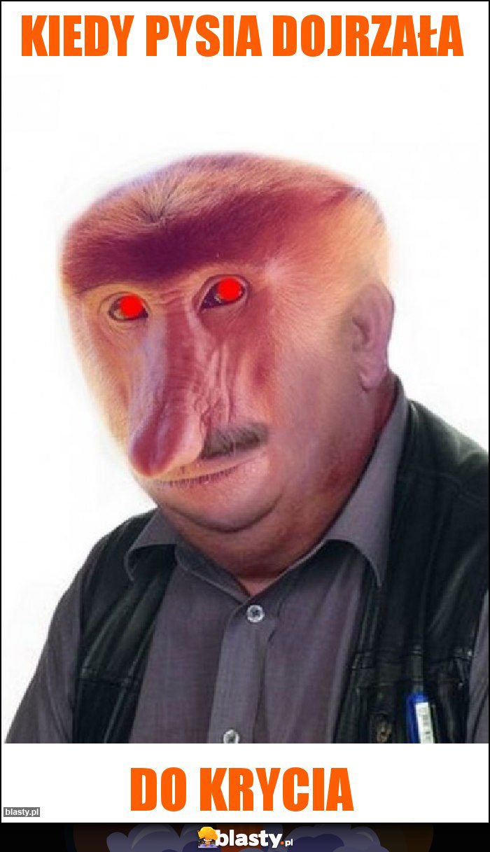 Kiedy Pysia dojrzała Kiedy Pysia dojrzała