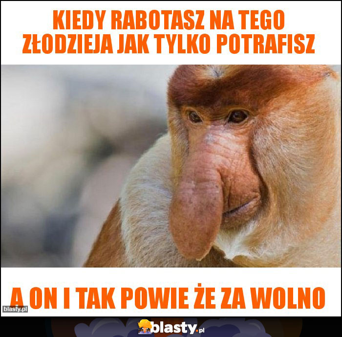 Kiedy rabotasz na tego złodzieja jak tylko potrafisz Kiedy rabotasz na tego złodzieja jak tylko potrafisz