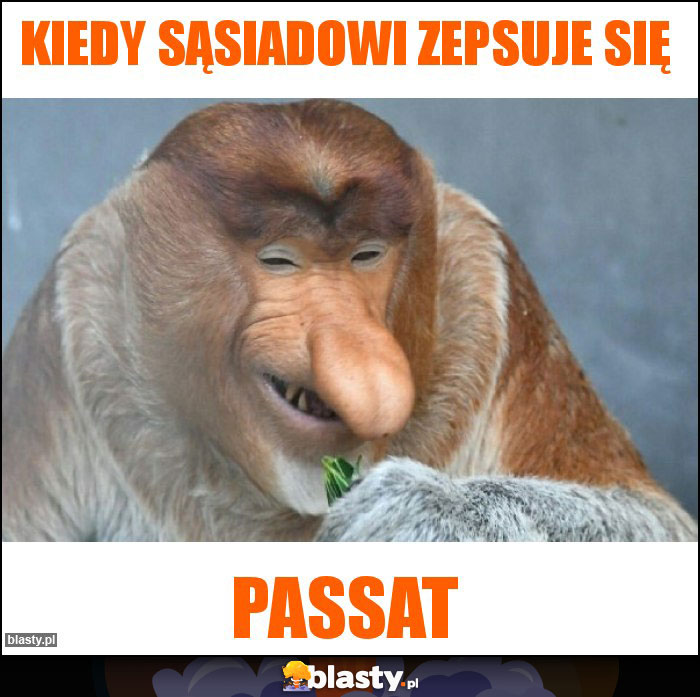 Kiedy sąsiadowi zepsuje się