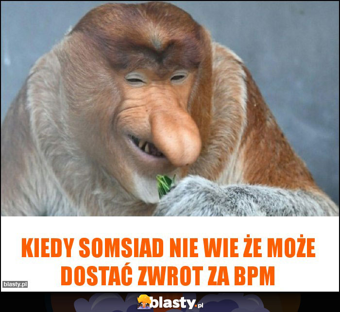 kiedy somsiad nie wie że może dostać zwrot za bpm kiedy somsiad nie wie że może dostać zwrot za bpm