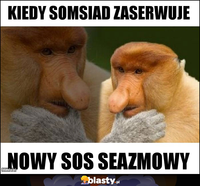 kiedy somsiad zaserwuje kiedy somsiad zaserwuje