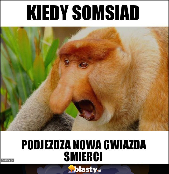 KIEDY SOMSIAD KIEDY SOMSIAD