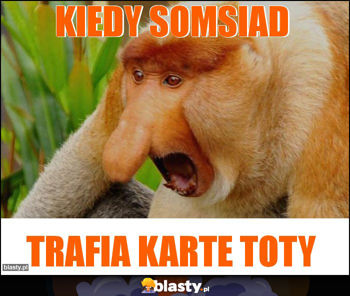 Kiedy somsiad Kiedy somsiad