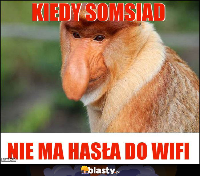 Kiedy somsiad Kiedy somsiad