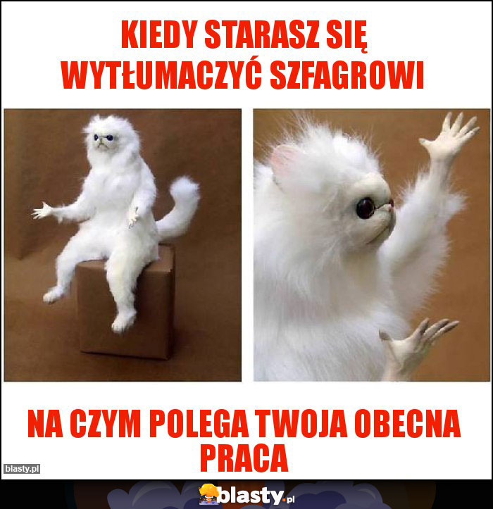 Kiedy starasz się wytłumaczyć szfagrowi
