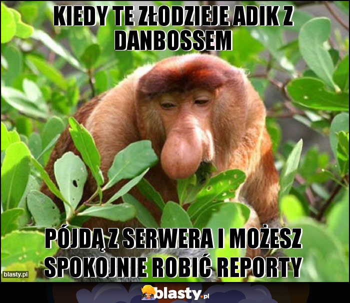 Kiedy te złodzieje Adik z Danbossem Kiedy te złodzieje Adik z Danbossem