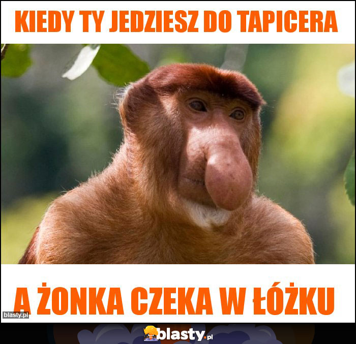 Kiedy Ty jedziesz do tapicera Kiedy Ty jedziesz do tapicera