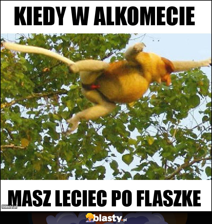 kiedy w alkomecie kiedy w alkomecie