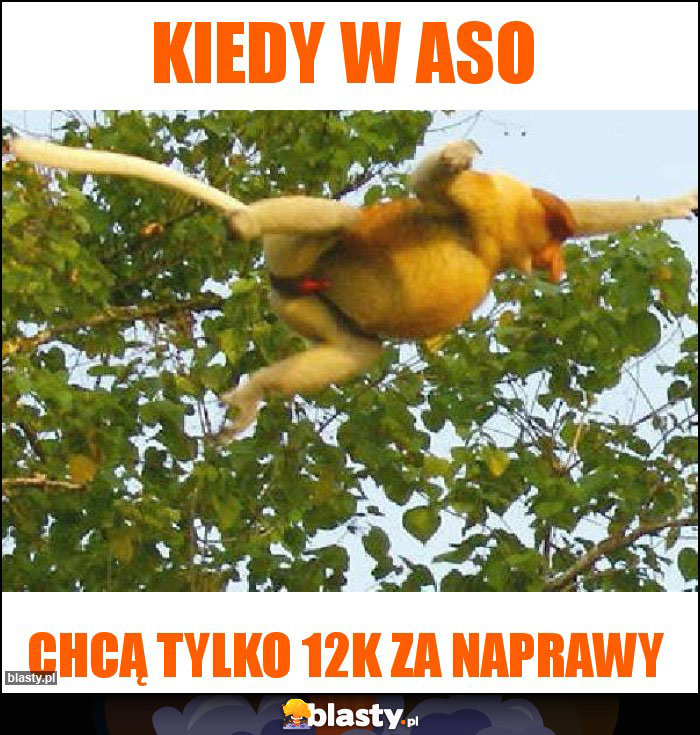 Kiedy w ASO Kiedy w ASO