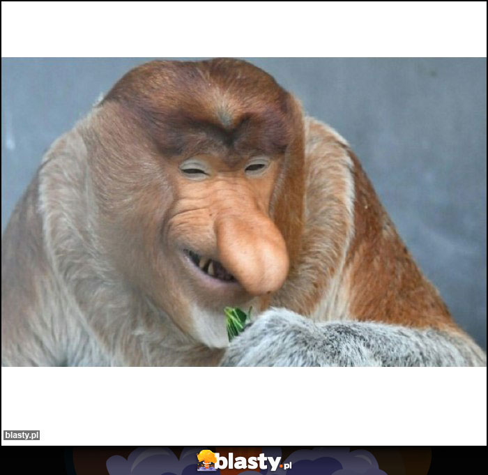 KIEDY WIDZISZ JAK RZANKLODOWI