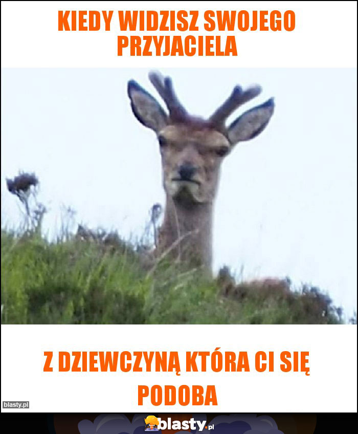 Kiedy widzisz swojego przyjaciela